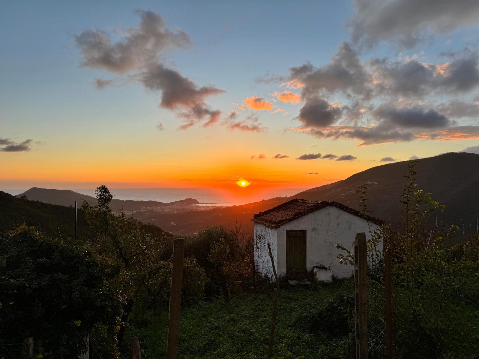La Collina Sul Mare - Casa Vacanze Sestri Levante Esterno foto